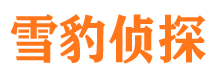 西山调查公司